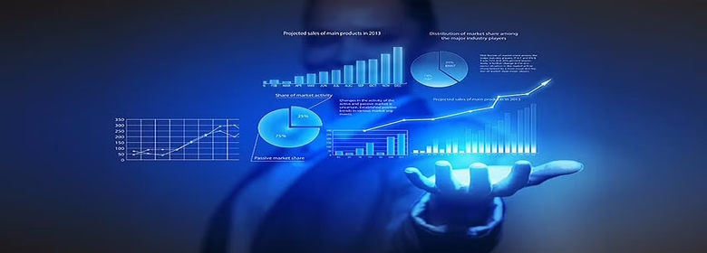 sas programming for business analytics course